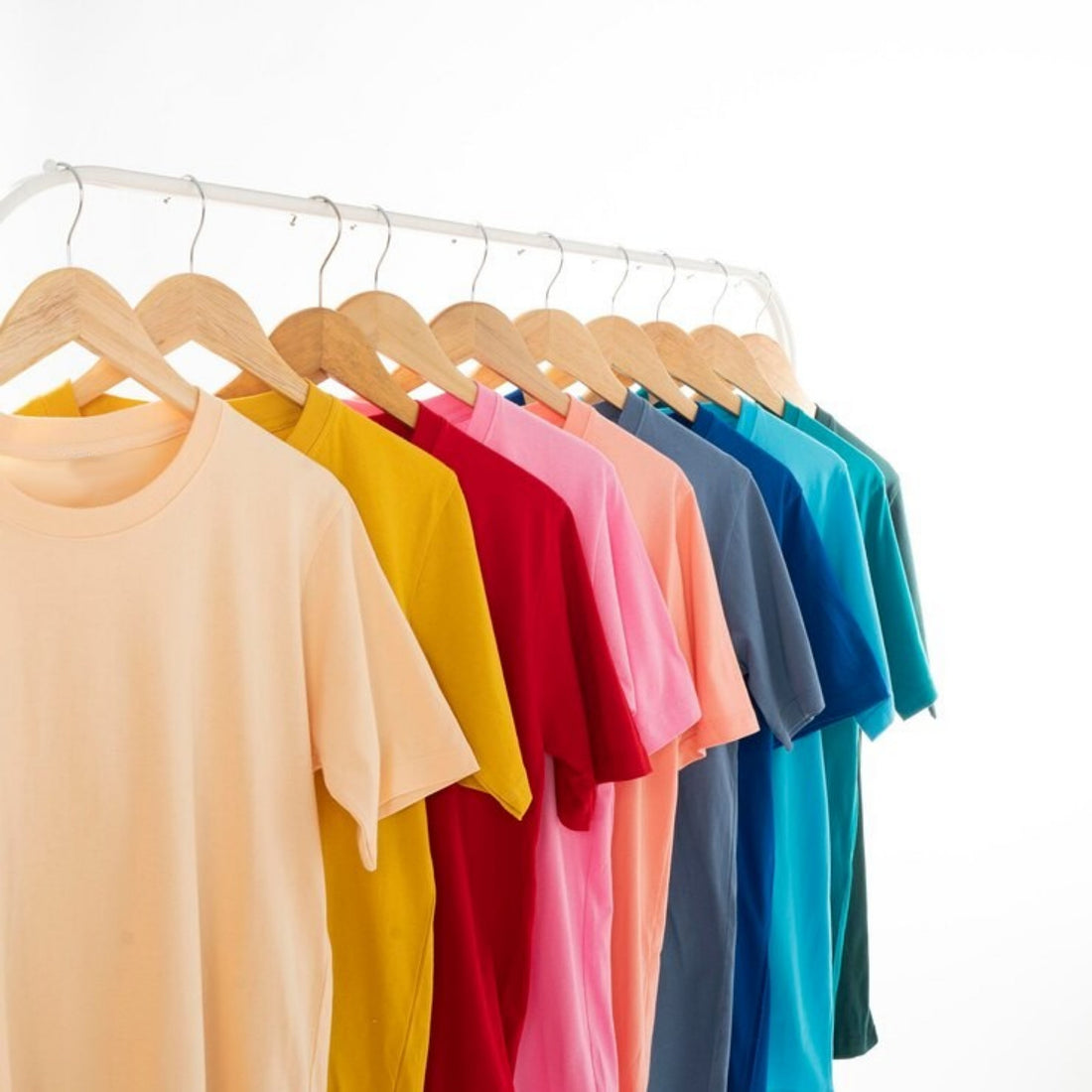 New Collection | Cotton Canvas