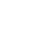 Cotton Canvas